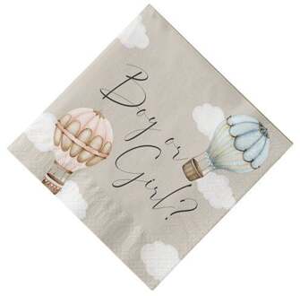Servetten Gender Reveal Luchtballon Classic (20st) Multikleur - Print