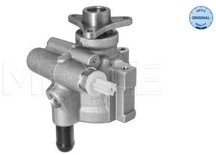 Servo pomp 16146310000