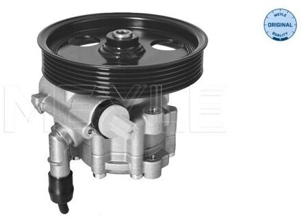 Servo pomp 16146310005