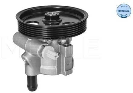 Servo pomp 16146310006