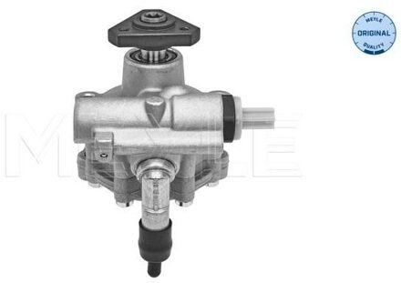 Servo pomp 16166310001