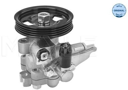 Servo pomp 28146310001