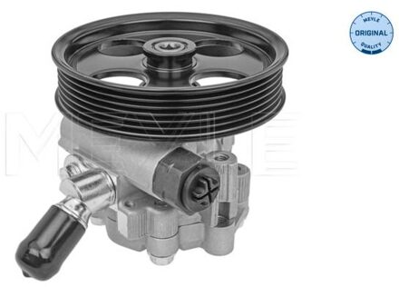 Servo pomp 6146310017