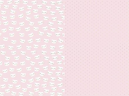Set 2 rollen Inpakpapier Cat Bibi Roze