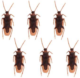 Set 6 Kakkerlakken Multikleur - Print