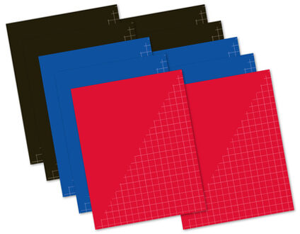 Set van 10x stuks A5 ruitjes wiskunde schriften 10 mm - Schriften Multikleur