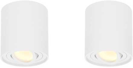 Set van 2 Ray LED opbouwspots - Rond - Dimbaar - 4 Watt 345 lumen - 2700K warm wit - Kantelbaar - GU10 - Plafondspot - IP20 Voor binnen - Wit