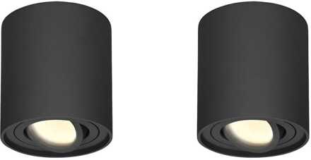 Set van 2 Ray LED opbouwspots - Rond - Dimbaar - 4 Watt 345 lumen - 2700K warm wit - Kantelbaar - GU10 - Plafondspot - IP20 Voor binnen - Zwart