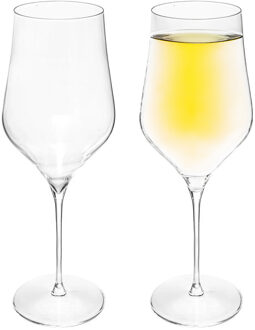 Set van 2x grote wijnglazen voor rode wijn Rhone 740 ml van glas Transparant