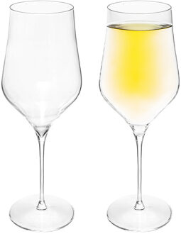 Set van 2x grote wijnglazen voor rode wijn Rhone 740 ml van glas - Wijnglazen Transparant