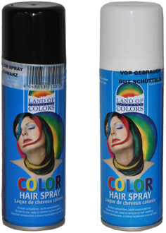 Set van 2x kleuren haarverf/haarspray van 111 ml - Zwart en Wit
