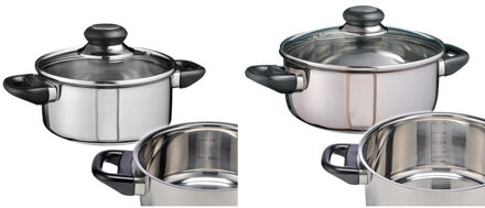Set van 2x RVS kookpannen / pannen met glazen deksels 16 en 20 cm