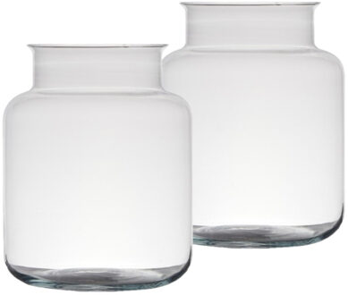 Set van 2x stuks bloemenvazen van glas 24 x 17 cm