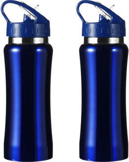 Set van 2x stuks drinkfles/waterfles/sport bidon blauw staal 600 ml - Drinkflessen