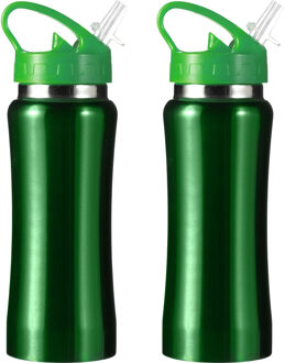 Set van 2x stuks drinkfles/waterfles/sport bidon groen staal 600 ml - Drinkflessen