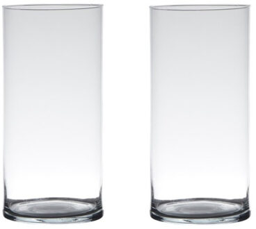 Set van 2x stuks glazen bloemen cylinder vaas/vazen 25 x 12 cm transparant - Vazen