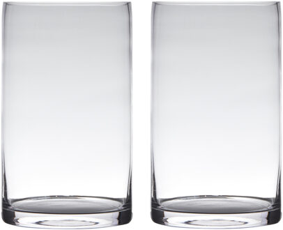 Set van 2x stuks glazen bloemen cylinder vaas/vazen 25 x 15 cm transparant - Vazen