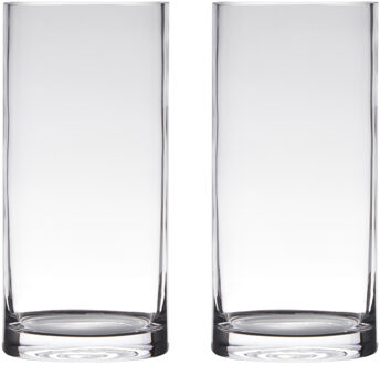 Set van 2x stuks glazen bloemen cylinder vaas/vazen 35 x 12 cm transparant - Vazen