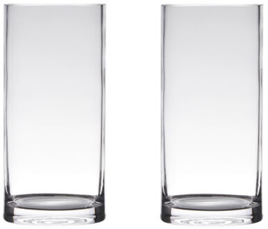 Set van 2x stuks glazen bloemen cylinder vaas/vazen 40 x 12 cm transparant - Vazen