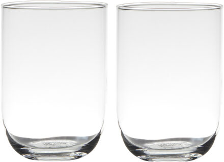 Set van 2x stuks glazen bloemen vaas/vazen 20 x 14 cm transparant - Vazen