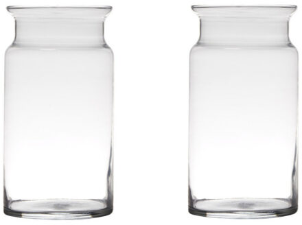 Set van 2x stuks glazen bloemen vaas/vazen 29 x 15 cm transparant - Vazen