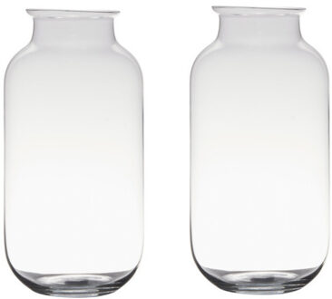 Set van 2x stuks glazen bloemen vaas/vazen 35 x 17 cm transparant - Vazen