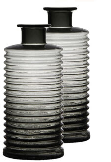 Set van 2x stuks glazen stijlvolle bloemenvaas transparant grijs D14.5 en H31 cm