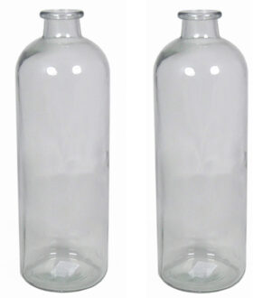 Set van 2x stuks glazen vaas/vazen 3,5 liter smalle hals 11 x 33 cm - Vazen Transparant