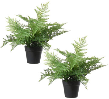 Set van 2x stuks groene bosvaren kunstplanten in zwarte kunststof pot 43 cm - Dryopteris Remota - Woondecoratie