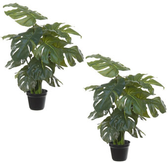 Set van 2x stuks groene europalm kunstplanten in zwarte kunststof pot 55 cm - Split Philo - Woondecoratie