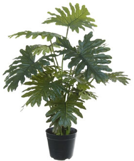 Set van 2x stuks groene gatenplant kunstplanten in zwarte kunststof pot 65 cm - Philodendron Selloum - Woondecoratie