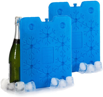 Set van 2x stuks koelelementen 26 x 2 x 32 cm blauw - Koelelementen