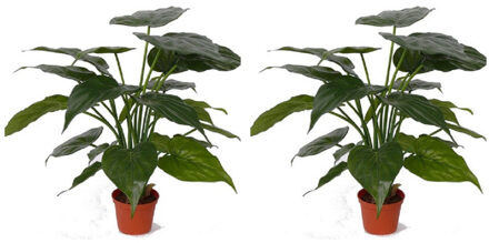 Set van 2x stuks kunstplanten alocasia olifantsoor groen 51 cm - Kunstplanten