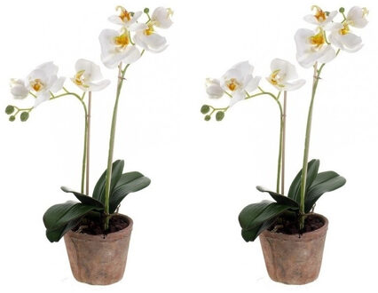 Set van 2x stuks kunstplanten Orchidee wit 42 cm in pot - Kunstplanten