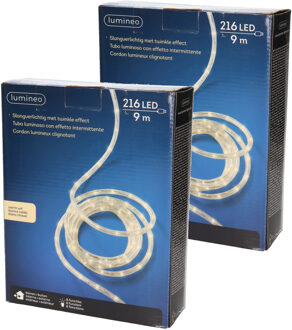 Set van 2x stuks lichtslang/slangverlichting warm wit 9 meter met twinkel effect 216 lampjes