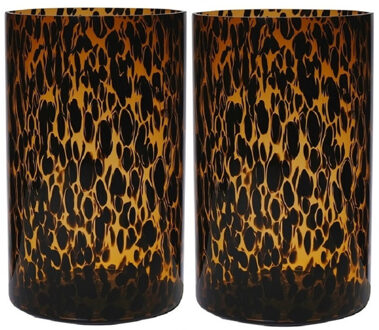 Set van 2x stuks modieuze bloemen cylinder vaas/vazen van glas 30 x 19 cm zwart fantasy