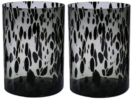 Set van 2x stuks modieuze bloemen cylinder vaas/vazen van glas 30 x 19 cm zwart fantasy