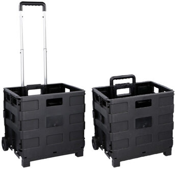 Set van 2x stuks opvouwbare opbergkratten/boodschappentrolleys 36 cm