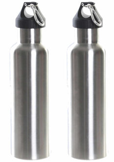 Set van 2x stuks RVS thermosfles/isoleerfles zilvergrijs met schroefdop en karabijnhaak 750 ml