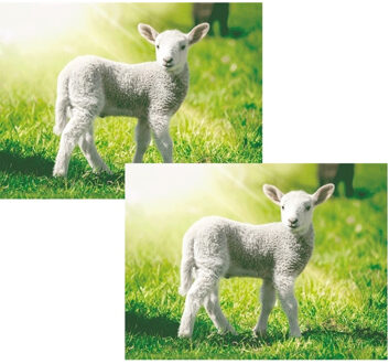 Set Van 2x Stuks Schapen En Lammetjes Placemats 3d - Placemats Multikleur