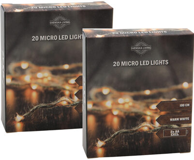 Set van 2x stuks touwverlichting met 20 micro led lampjes sfeerverlichting op batterij 100 cm