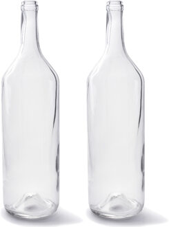 Set van 2x stuks transparante fles vaas/vazen van glas 14 x 53 cm - Vazen