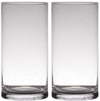 Set van 2x stuks transparante home-basics cylinder vorm vaas/vazen van bubbel glas 30 x 15 cm - Vazen