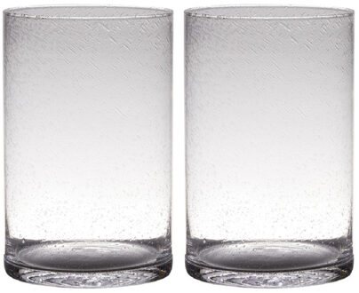 Set Van 2x Stuks Transparante Home-basics Cylinder Vorm Vaas/vazen Van Bubbel Glas 30 X 19 Cm - Vazen