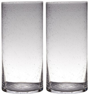 Set van 2x stuks transparante home-basics cylinder vorm vaas/vazen van bubbel glas 40 x 19 cm - Vazen