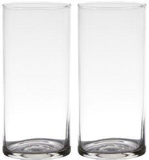 Set van 2x stuks transparante home-basics cylinder vorm vaas/vazen van glas 19 x 9 cm - Vazen