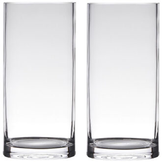 Set van 2x stuks transparante home-basics cylinder vorm vaas/vazen van glas 20 x 12 cm - Vazen