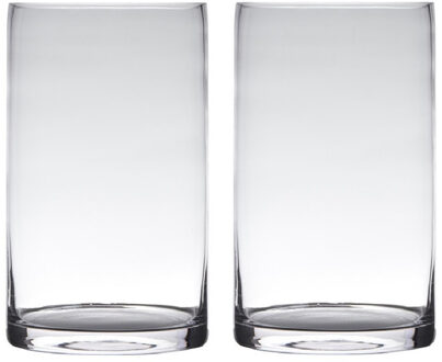 Set van 2x stuks transparante home-basics cylinder vorm vaas/vazen van glas 20 x 15 cm - Vazen