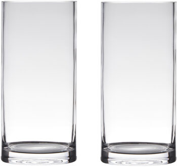 Set van 2x stuks transparante home-basics cylinder vorm vaas/vazen van glas 25 x 12 cm