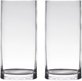 Set van 2x stuks transparante home-basics cylinder vorm vaas/vazen van glas 30 x 12 cm - Vazen